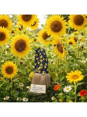 Daisy Bumble Bee Gnome Shelf Sitter Table Decor